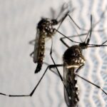 Pitanga confirma a segunda morte causada pela dengue