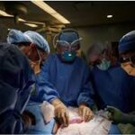 Primeiro paciente a receber rim de porco em transplante deixa hospital: ‘grande emoção’, diz médico brasileiro